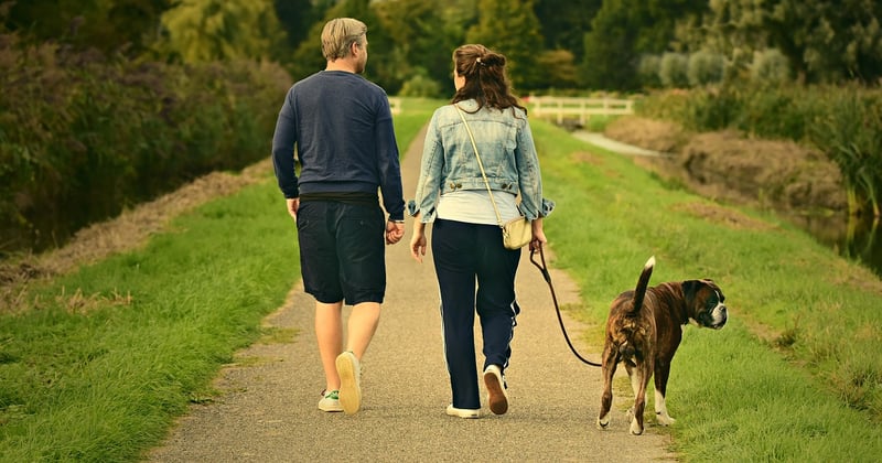 Week-end nature : idées d'escapades vertes près de chez vous