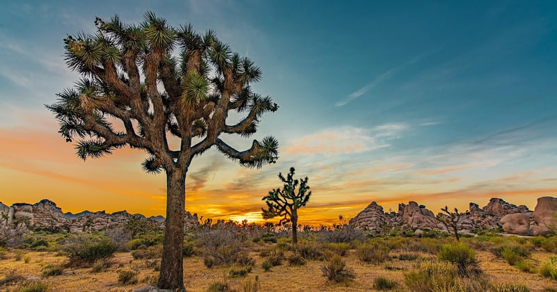 Parcs nationaux à visiter : le guide des plus beaux espaces naturels